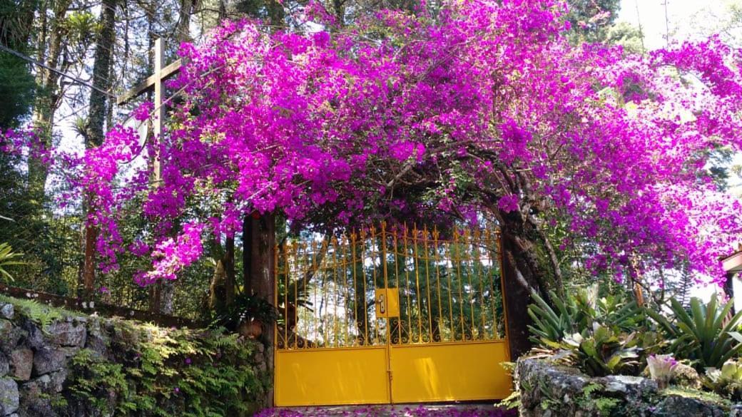 Hotel Bromélia Sabiá&Cia Teresópolis Esterno foto